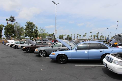 Row of full-size sedans with open hoods at a parking lot car show under palm trees