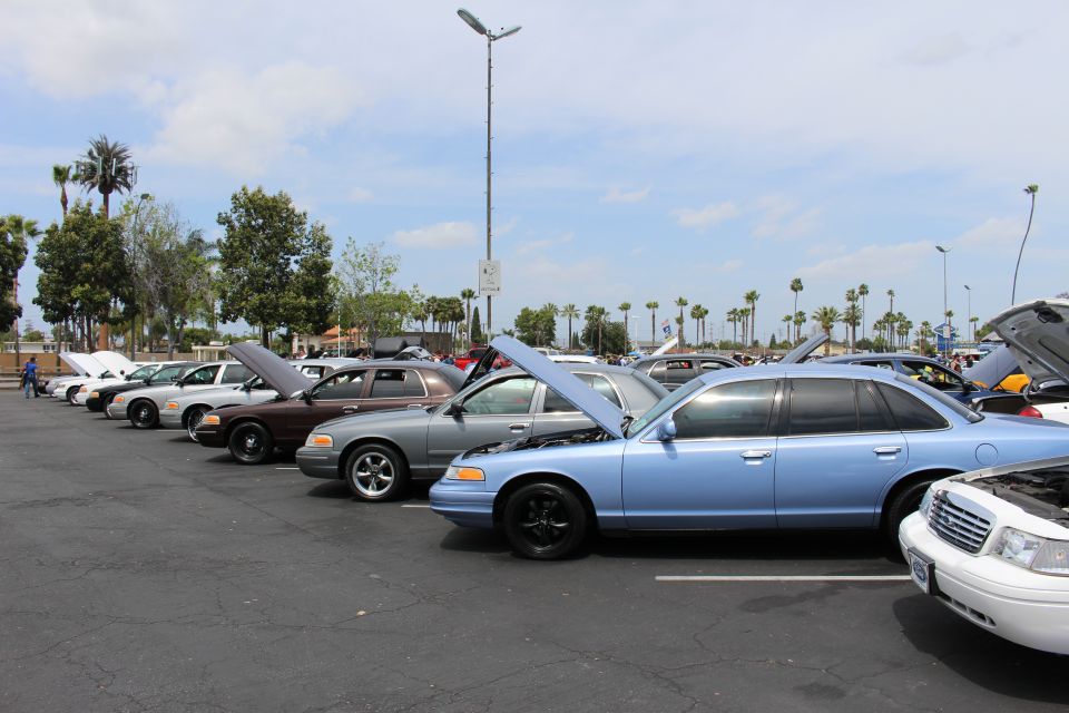 Row of full-size sedans with open hoods at a parking lot car show under palm trees