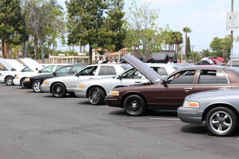 Diagonal row of sedans including black, silver, and brown Fords at a car meet