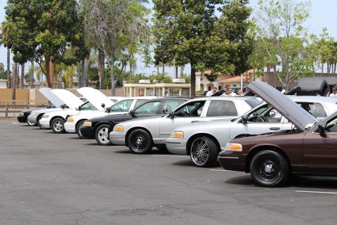 Black, silver, white, and brown sedans parked nose-out with open hoods at a car show