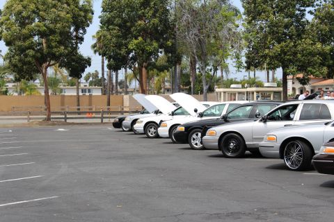 Row of silver and black sedans with open hoods across an empty parking lot