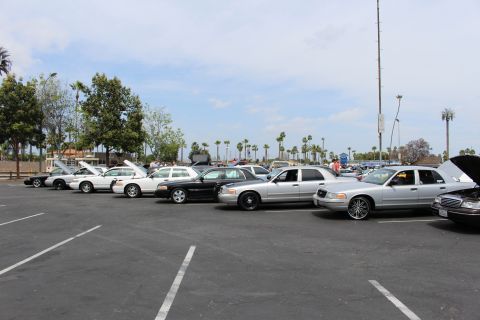 Row of white, black, and silver sedans parked at a car show with palm trees behind