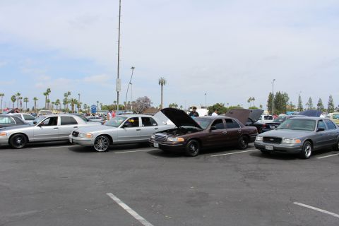 Silver, brown, and gray Ford sedans with open hoods at an outdoor car show