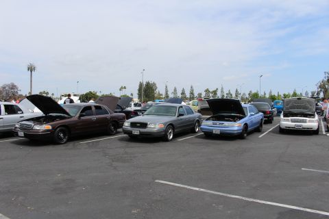 Brown, gray, blue, and white sedans with open hoods at a parking lot car show
