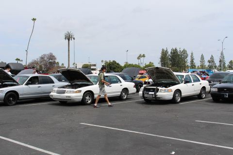 White and silver sedans with open hoods at a car show, man walking past, palm tree behind
