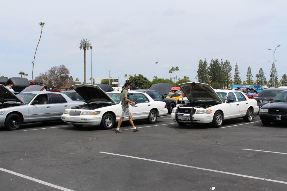 White and silver sedans with open hoods at a car show, man walking past, palm tree behind