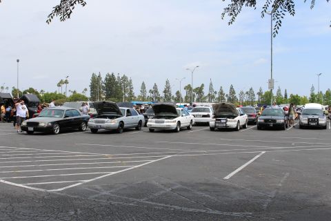 Row of black and white full-size sedans with open hoods at a parking lot car show