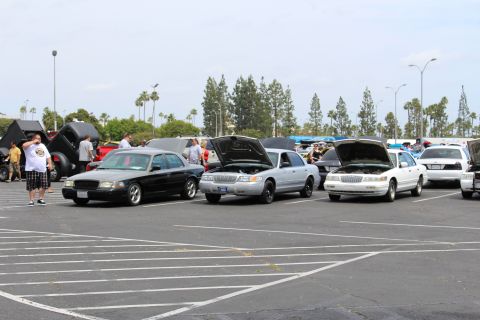 Black, silver, and white sedans with open hoods, spectators standing nearby at a car show