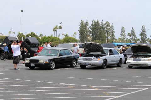 Black, silver, and white full-size sedans with open hoods, a man photographing them