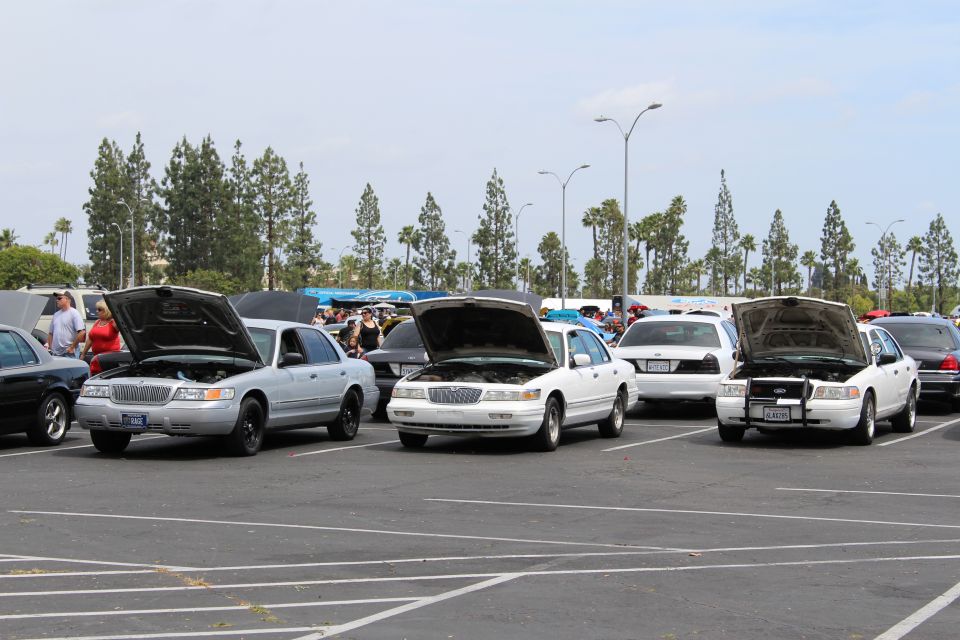 White and silver full-size sedans with hoods open at an outdoor car show