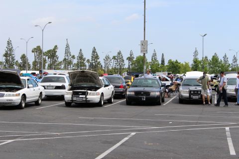 Rows of sedans parked in a lot with hoods up, palm trees behind