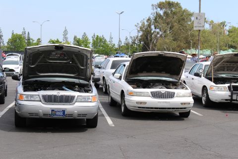 Two sedans with hoods open showing engine bays at a car show