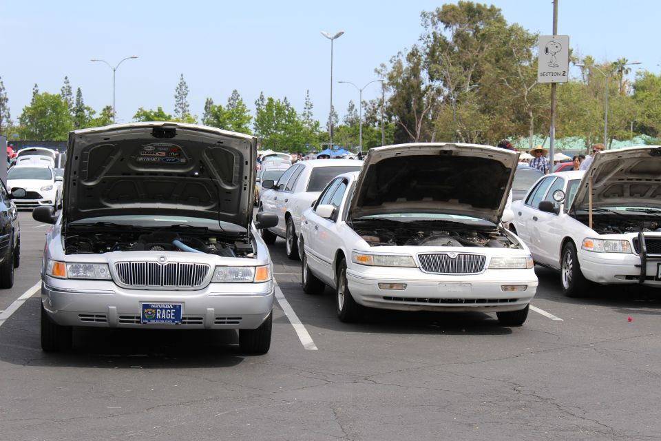 Two sedans with hoods open showing engine bays at a car show