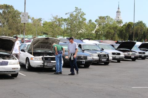 People inspecting a line of sedans with hoods up, tower in distance