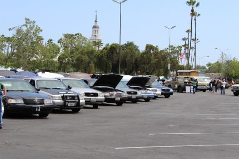 Row of dark and light sedans with open hoods, domed tower behind