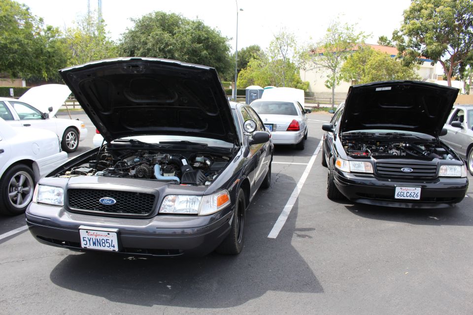 Two black Ford sedans parked nose-out with hoods up and California plates