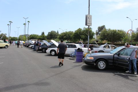 Row of full-size sedans with hoods open along a parking lot at a car show