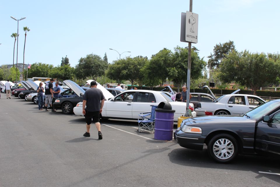 People and full-size sedans with raised hoods at an outdoor car meet