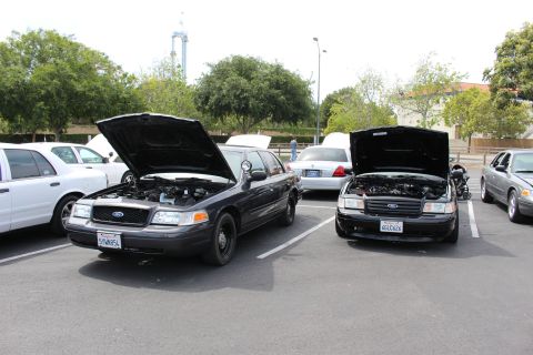 Two black Ford Crown Victoria sedans side by side with hoods open