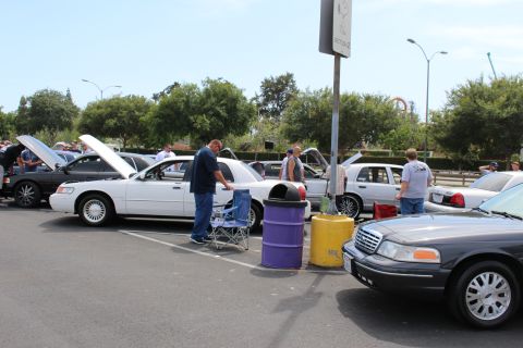 White and dark sedans with hoods open beside trash barrels at a car meet