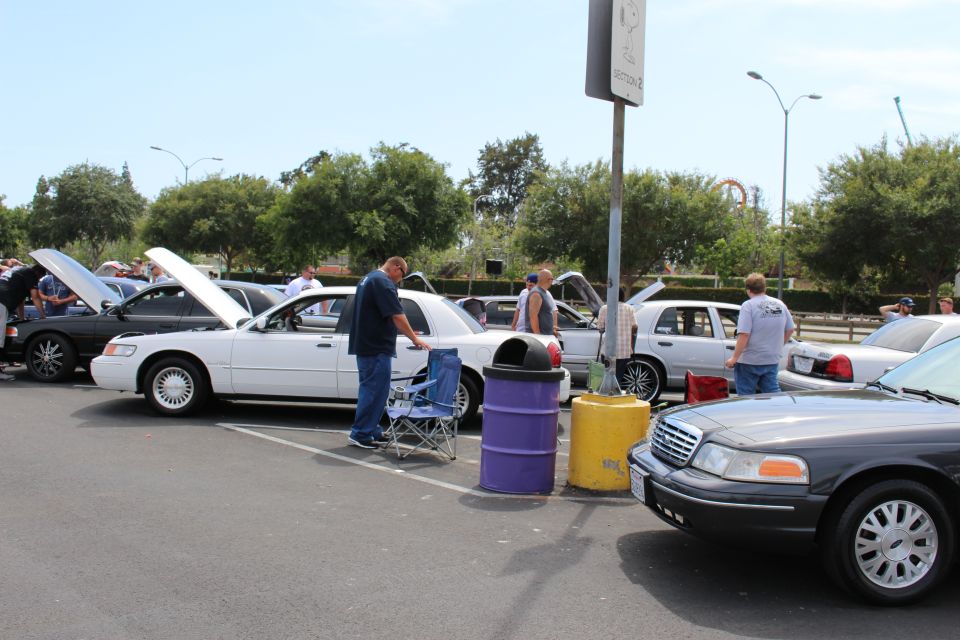 White and dark sedans with hoods open beside trash barrels at a car meet