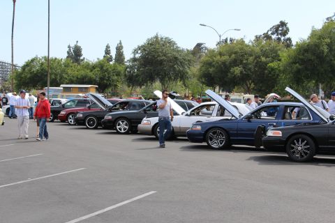 Row of cars with raised hoods and people at an outdoor car show