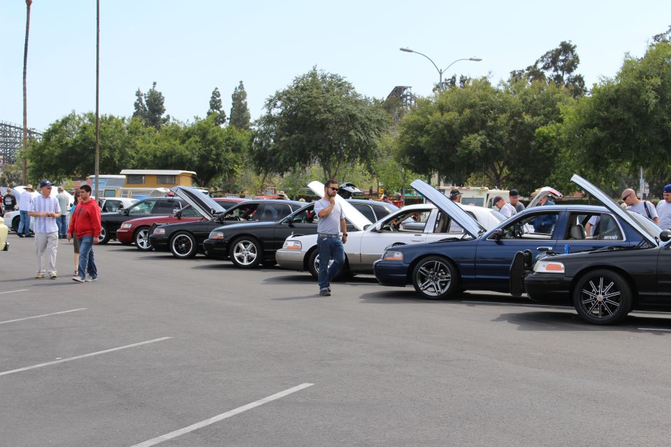 Row of cars with raised hoods and people at an outdoor car show