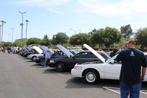Long row of sedans with hoods open and a man in foreground at a car meet