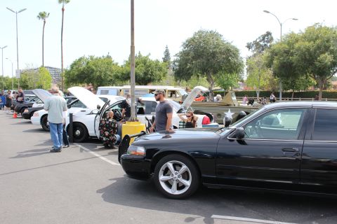 Row of cars with hoods up including a black sedan in foreground