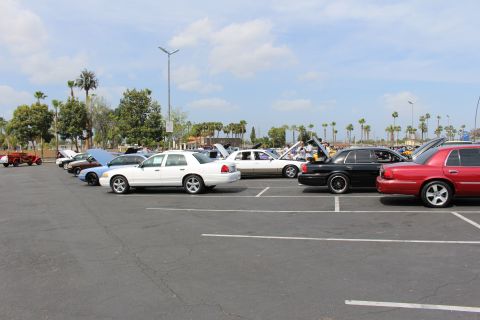 Wide view of many sedans parked across a large lot with palm trees