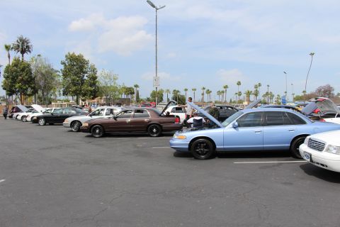 Row of sedans including brown and light-blue cars with hoods up at a meet