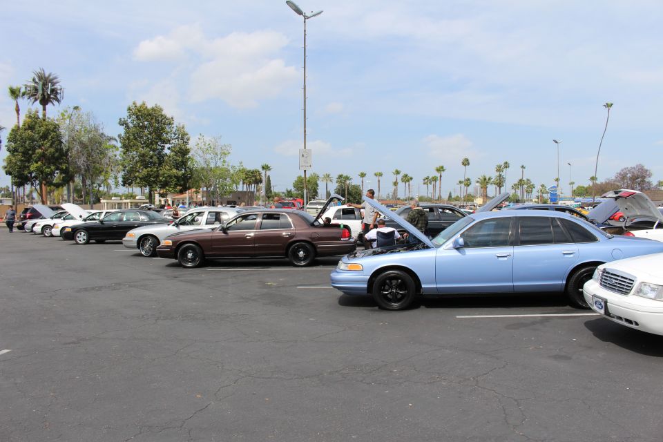 Row of sedans including brown and light-blue cars with hoods up at a meet