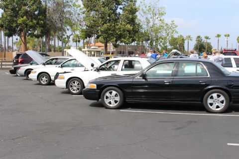 Row of black and white full-size sedans parked at an outdoor car meet, several with hoods raised