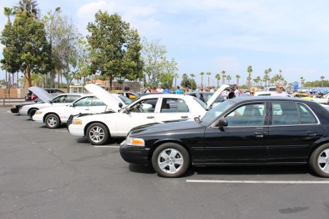 Black sedan beside a line of white sedans with raised hoods at an outdoor car meet