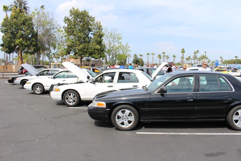 Black sedan beside a line of white sedans with raised hoods at an outdoor car meet