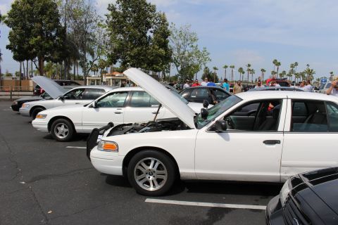 White sedans with hoods raised parked in a row at a car meet, engine bays visible