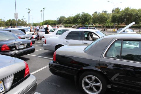 Cluster of black and white full-size sedans parked at angles in a busy meet lot