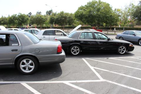 Gray and black Ford sedans parked side by side in a tree-lined lot