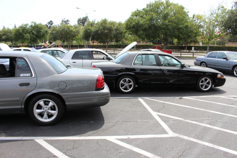 Gray and black Ford sedans parked side by side in a tree-lined lot