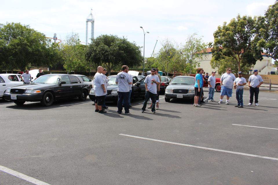 People standing in a parking lot lined with black and white sedans