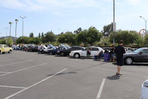 Row of parked cars with open hoods at an outdoor car show