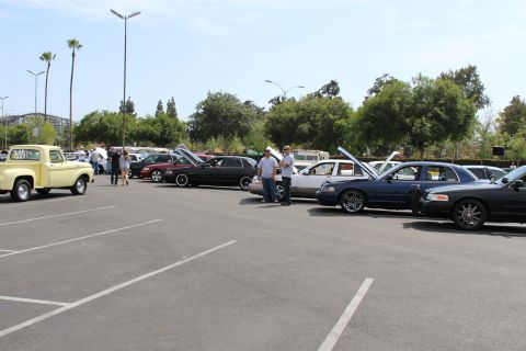 Lineup of sedans with open hoods at a car show, yellow pickup on the left