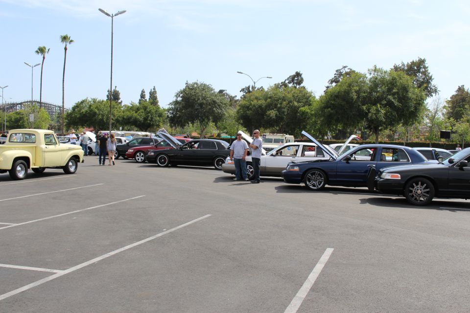 Lineup of sedans with open hoods at a car show, yellow pickup on the left