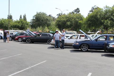 Two men standing beside a row of customized sedans with open hoods