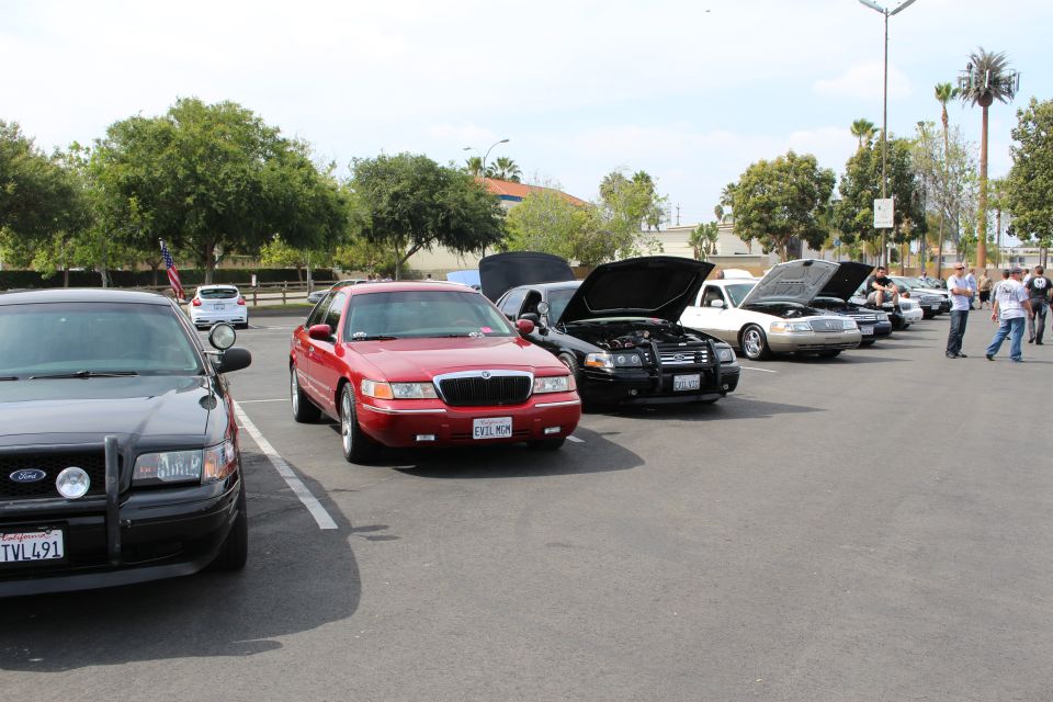Lineup of Panther-platform sedans including a black Ford and red Mercury