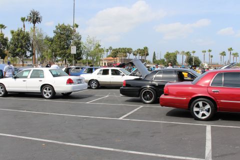 White, black and red sedans parked in rows at a sunny car show