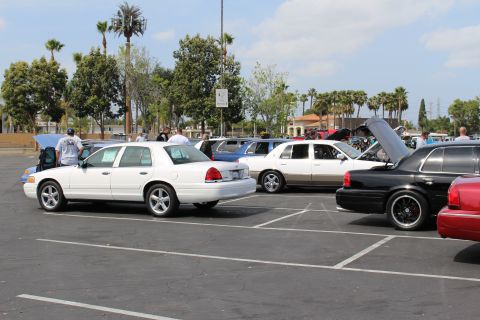 White Ford and two-tone sedans with open trunks and hoods at a car show