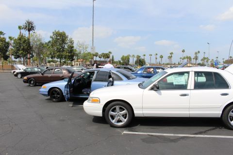 White sedan in foreground beside a light blue sedan at a car show lot