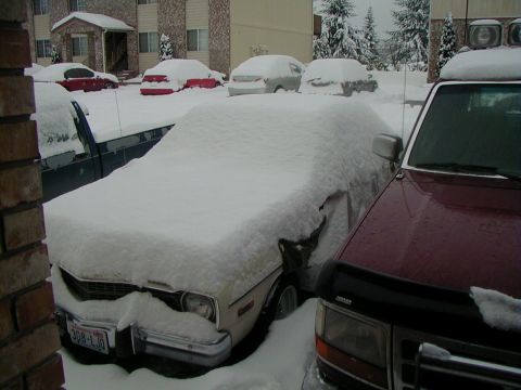 1993 Ford Bronco - Several vehicles are covered in snow in a parking lot, with one tan sedan prominently visible from the front.