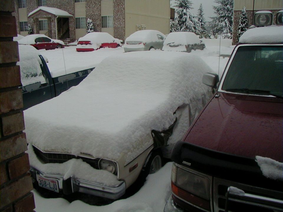 Tan sedan covered in snow, front view with license plate 308-LJO